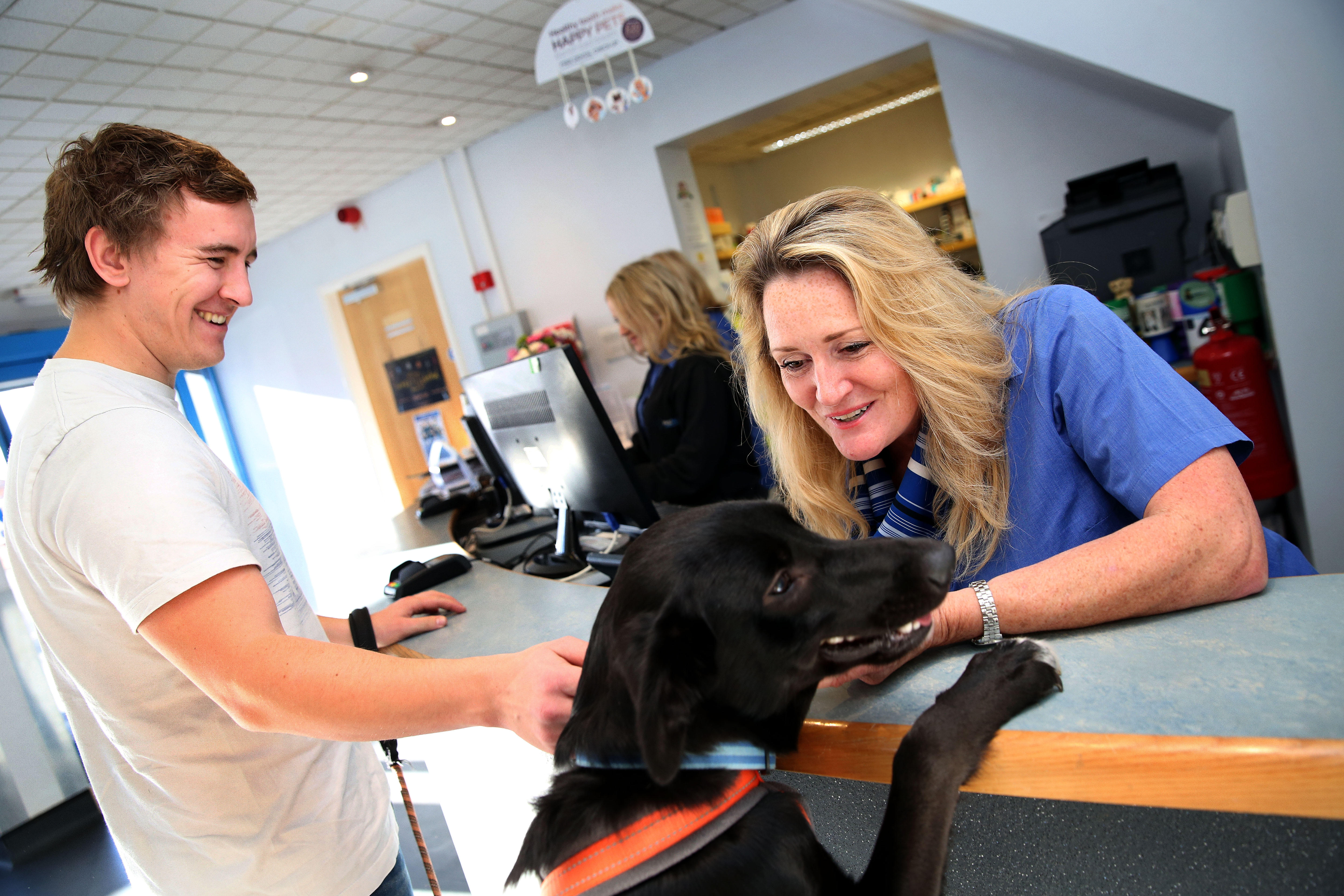 Images Westway Veterinary Group, Howdon