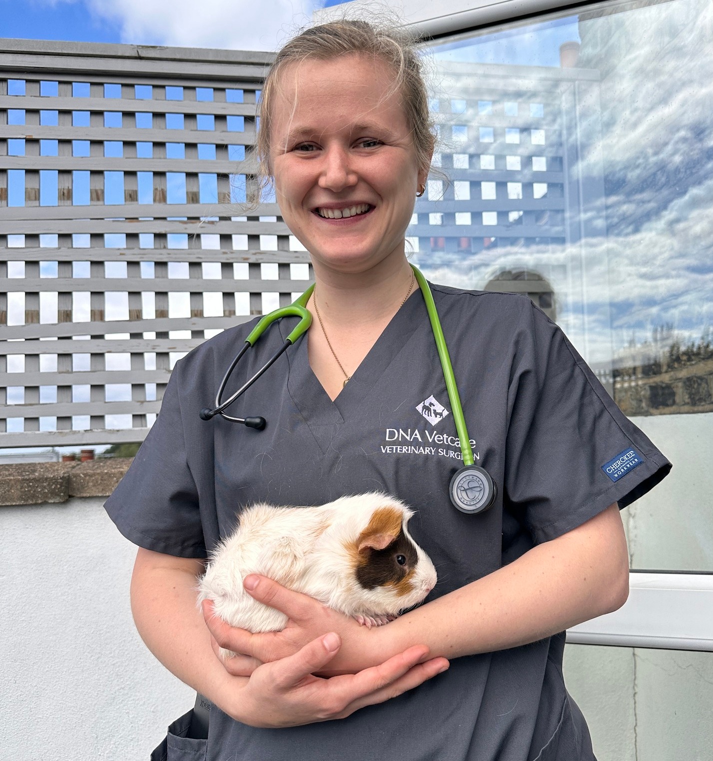 Images Streatham Hill Veterinary Surgery