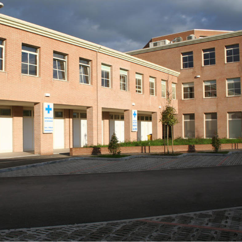 Images Ospedale Veterinario Dott. Peressotti