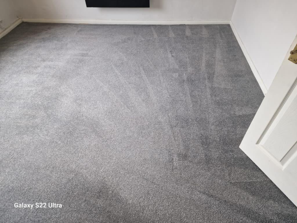 Images Stay Clean 24hr Carpet Cleaner