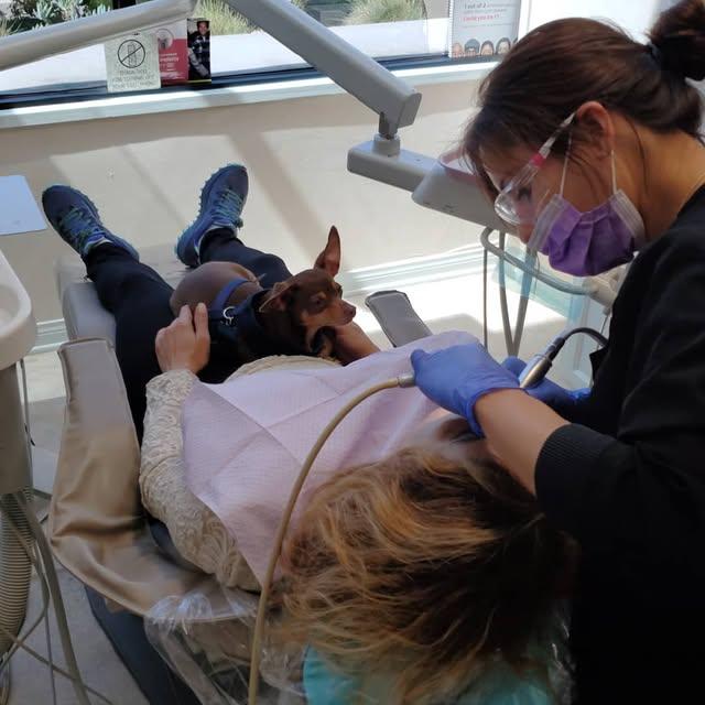 Images Smiles By Eddie: Dr. Edmond Ahdoot DDS
