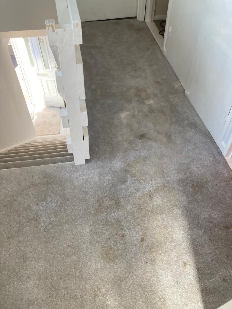 Images Carpet & Gutter Cleaning Service