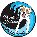 Positive Splash Dog Training