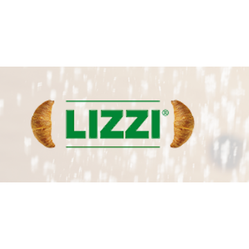 Lizzi Srl Logo