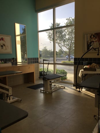 Images Petco Grooming