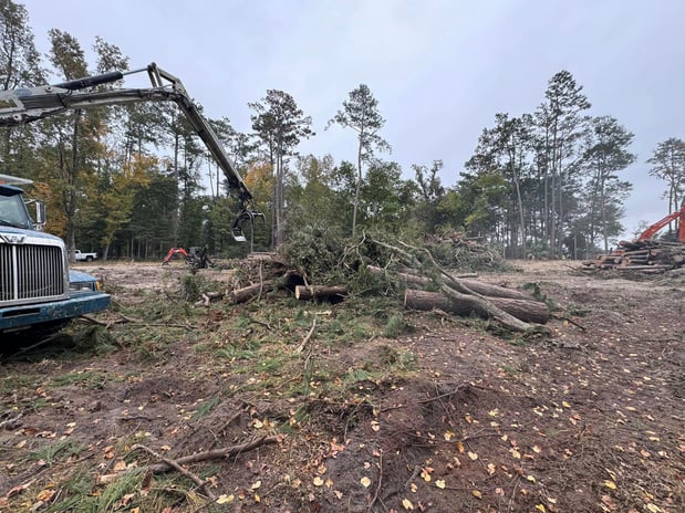 Images Magana Tree Service