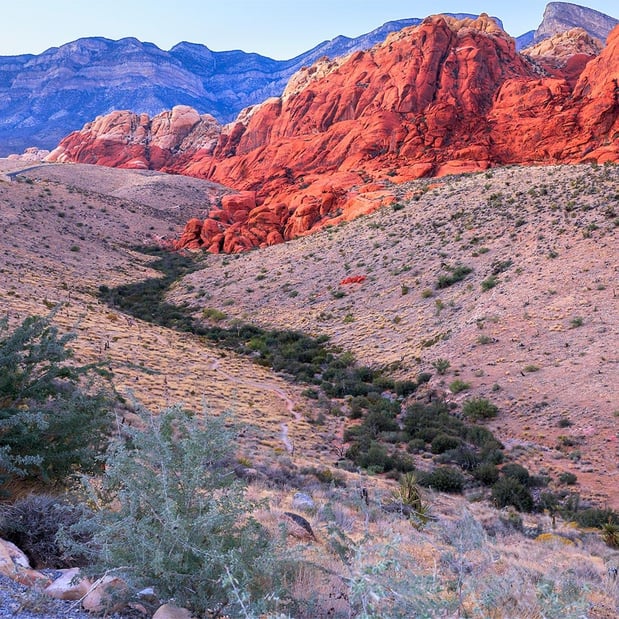 Images Pink® Jeep Tours Las Vegas