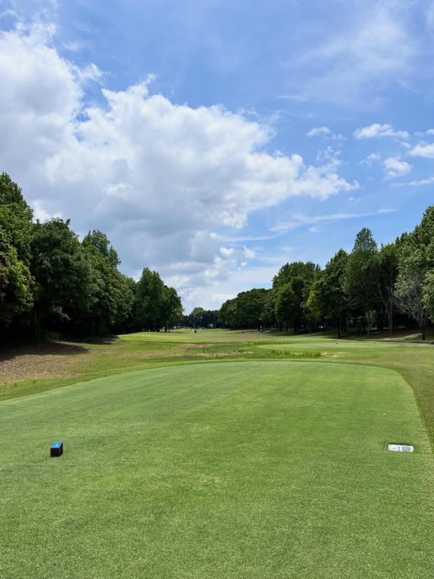 Images VZONEGOLF