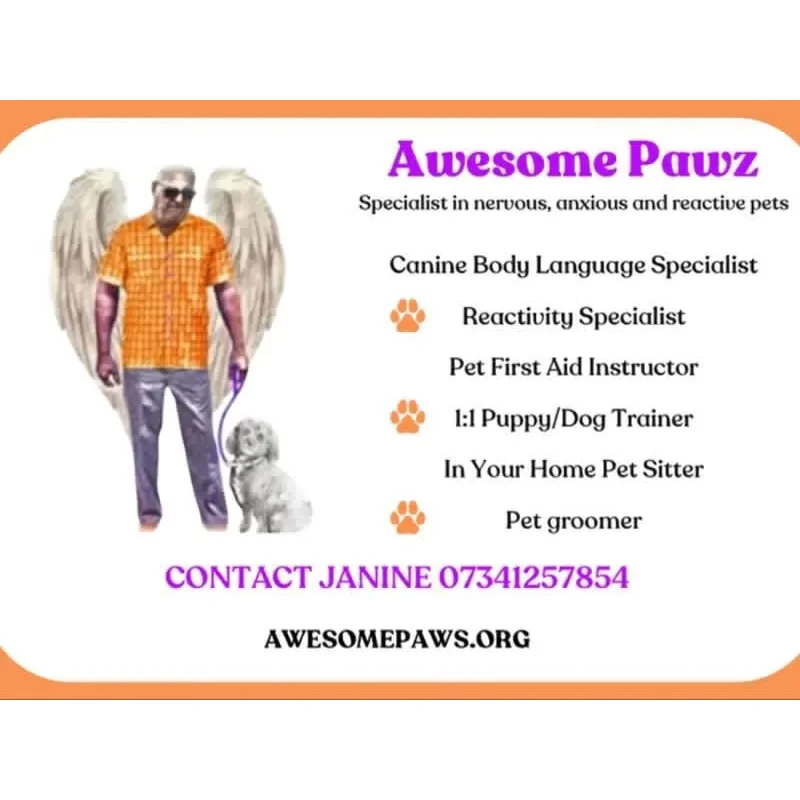 Awesome Pawz Logo