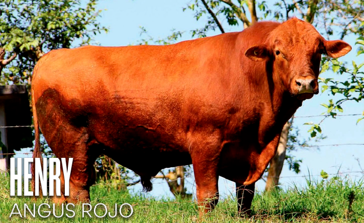 Images Rancho La Marina