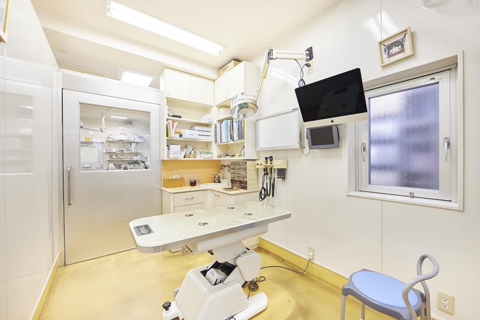 Images 江島動物病院 PAL動物病院グループ