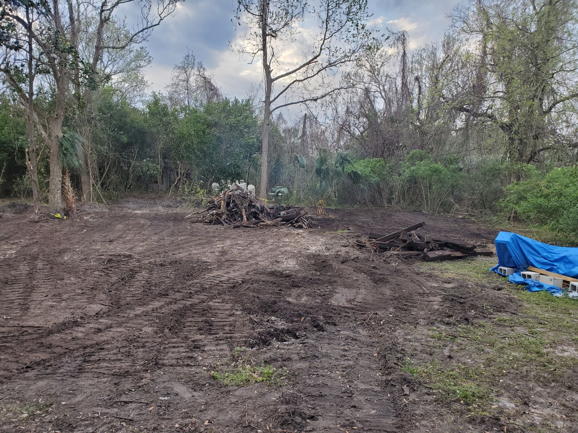 Big Cat Excavating Photo