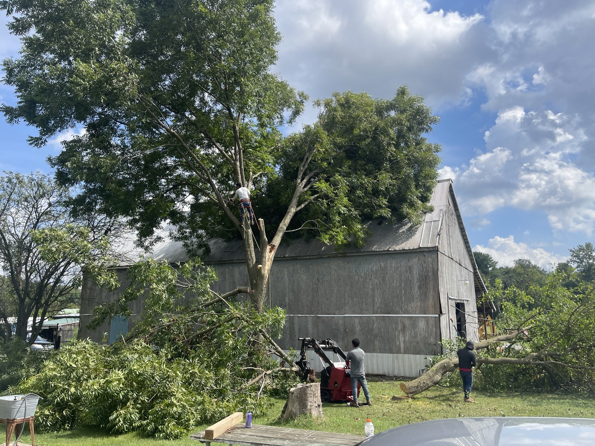 Fallen Tree Removal: Efficiently and safely removing uprooted or knocked-down trees.
Storm-Damaged Trees: Assessing and addressing storm-damaged trees to prevent further property damage.
Crane Service: Utilizing crane services for the safe and effective removal of large trees and debris.
Branch Clearing: Removing broken branches that pose risks to your property or safety.
Roof Protection: Offering temporary roof protection with tarping services until permanent repairs can be made.
Tree Trimming: Providing tree trimming services to minimize future storm-related risks.