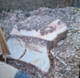 Stump removal
Stump grinding