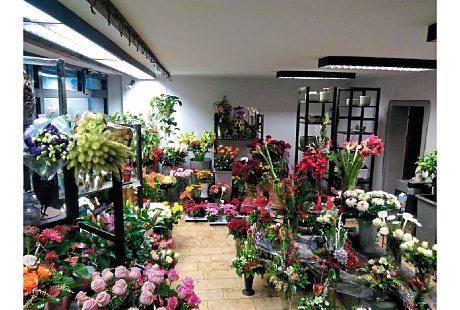 Blumenhaus Winter GbR, Düsseldorfer Straße 595 in Duisburg