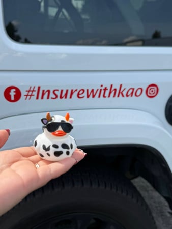 Images Kao Xiong - State Farm Insurance Agent