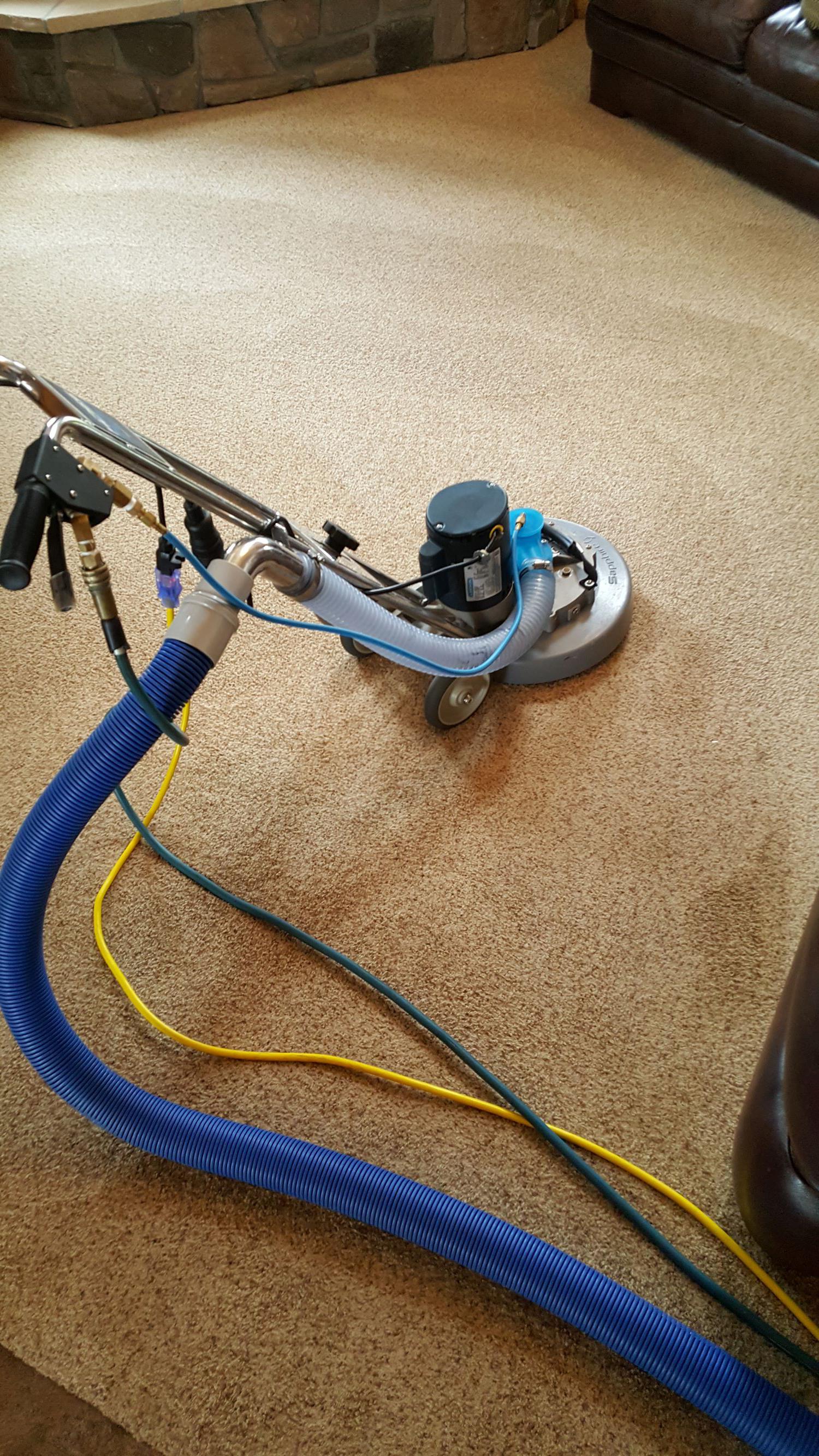 360 Steam Carpet Cleaning Photo