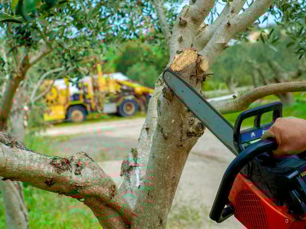 Images Wellman Tree Service