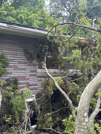 Images Tree Masters of Tennessee