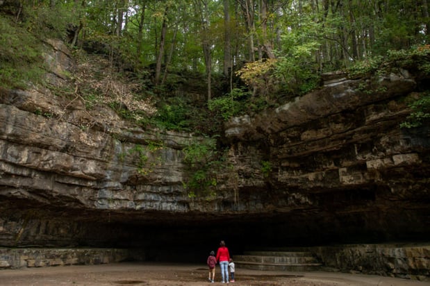 Images Holiday Inn Clarksville Northeast by IHG