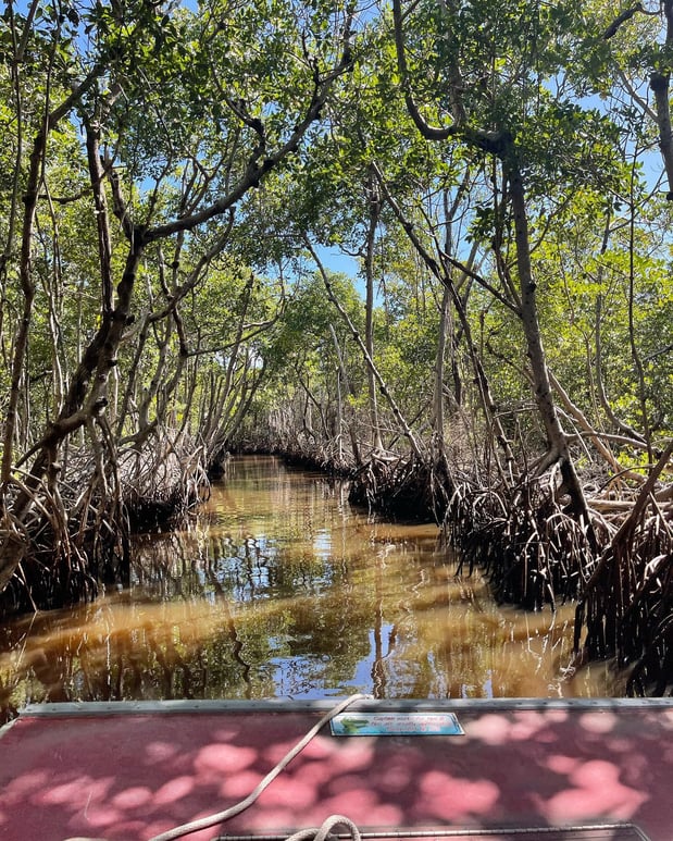 Images Everglades Excursions