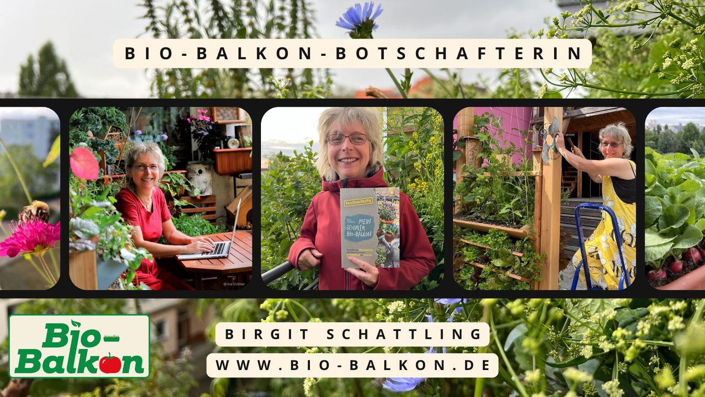 Bilder Bio-Balkon