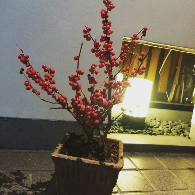 Images 遊食喜多村