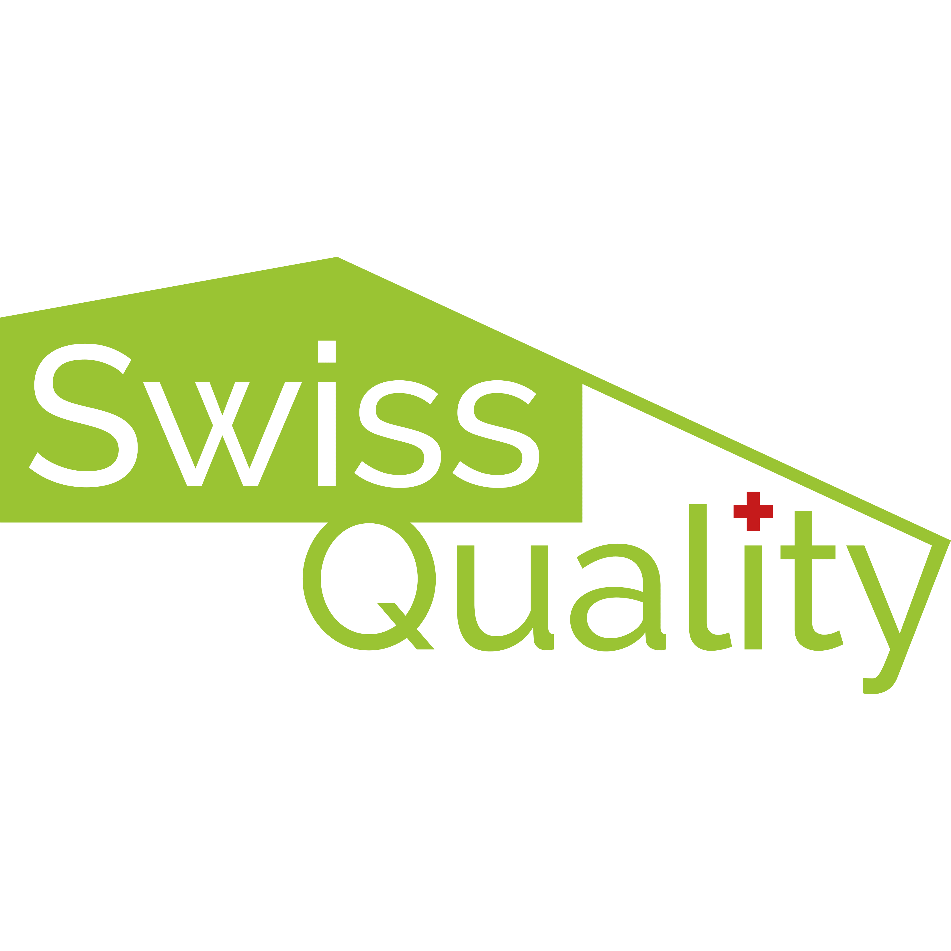 Swiss Quality Storen GmbH Logo