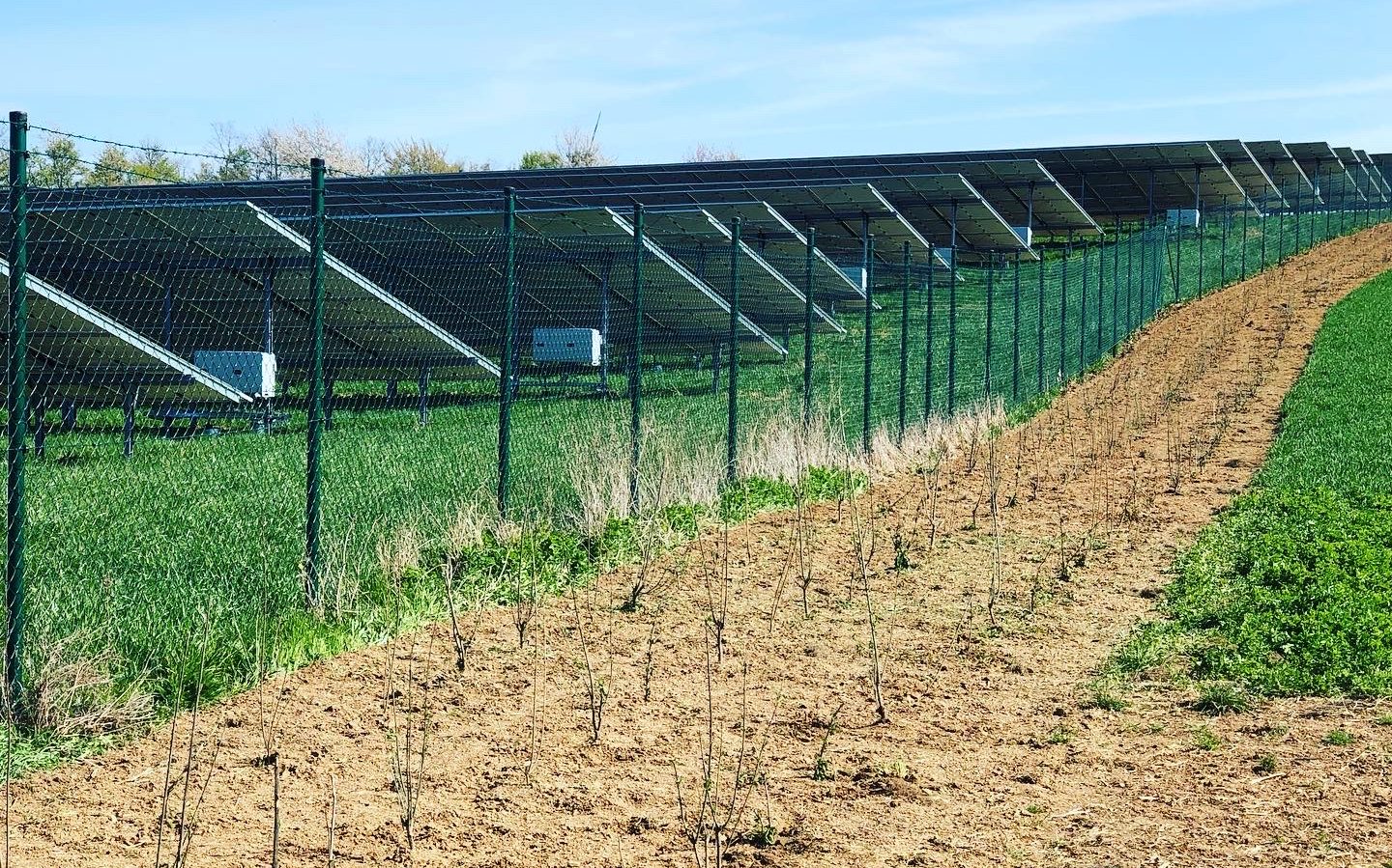 Bilder SLP Kraus GmbH | Photovoltaikflächen-Management & Grünpflege