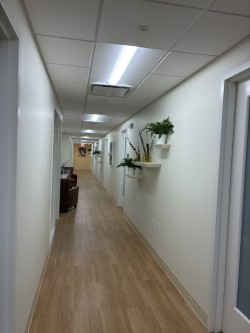 Images LifeStance Therapists & Psychiatrists Santa Monica