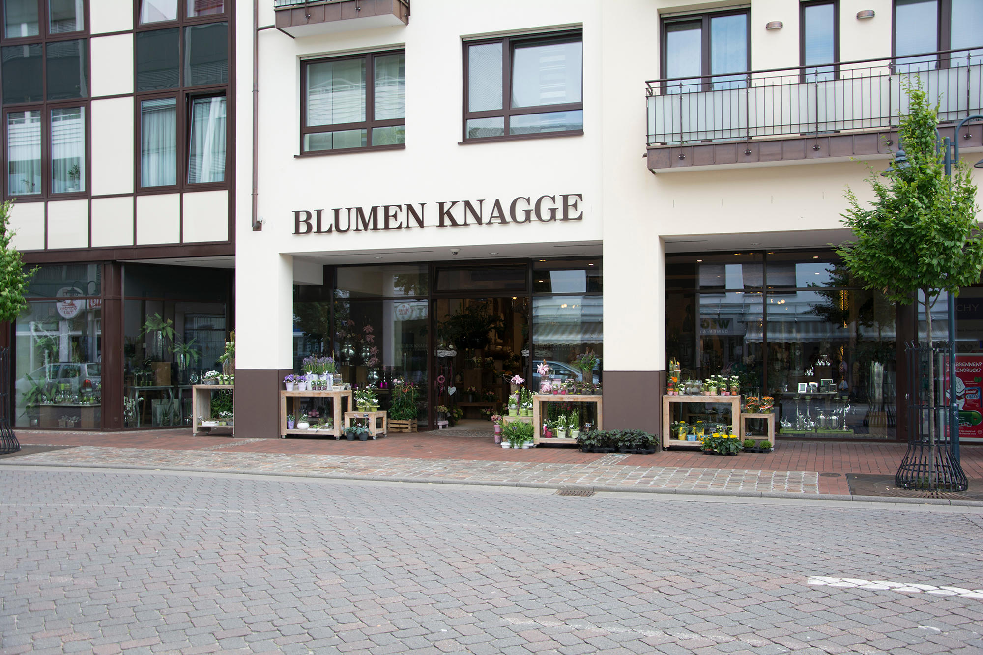 Bilder Blumenhaus Knagge