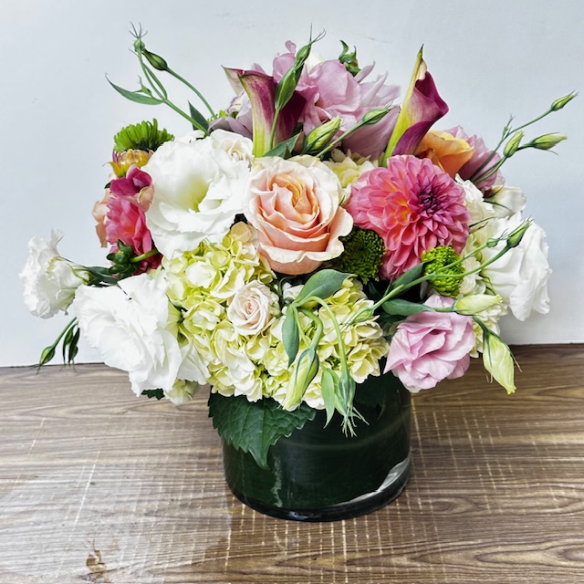 Images Jane's Roses & Flowers