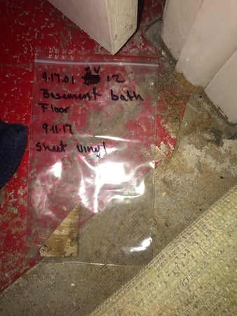 Images Rex Environmental