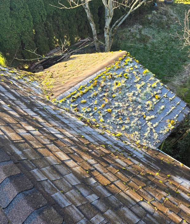 Images Code of Honor Contracting