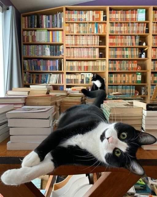 Images Studio Legale Avv. Silvana Monica Masullo