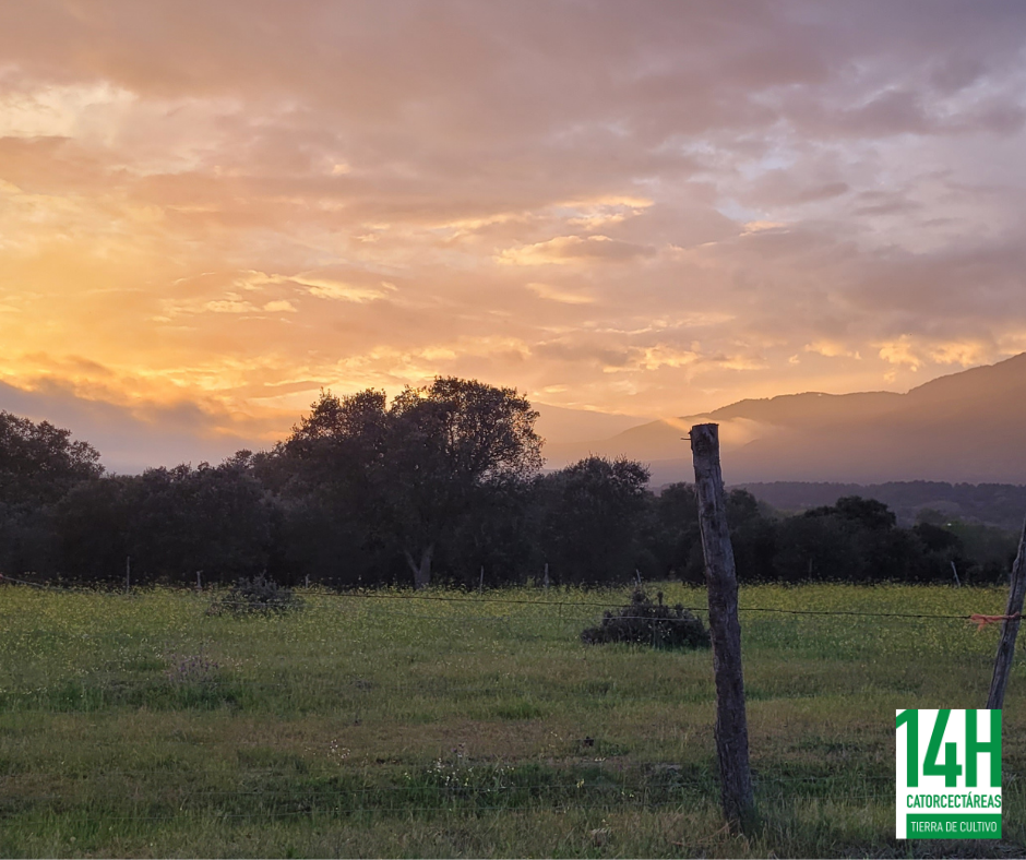 Images Catorcectáreas