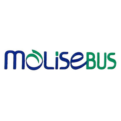 Molise Bus Logo