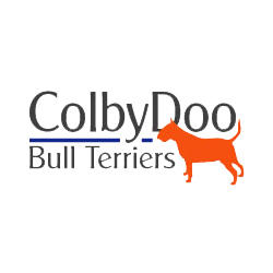 ColbyDoo Bull Terriers Logo