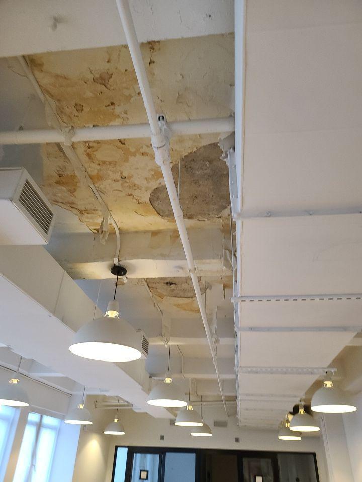Ceiling Water Damage Cleanup
