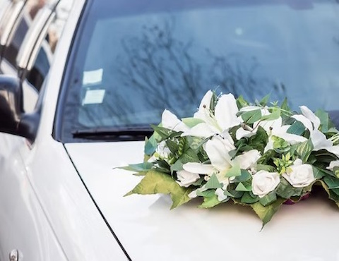 Wedding Transport