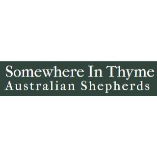 Somewhere In Thyme Logo