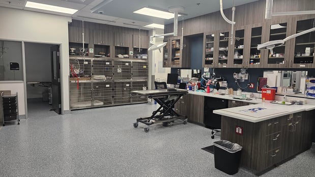 Images VCA Emergency Animal Hospital & Referral Center