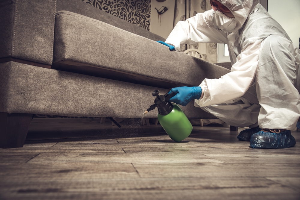 Choosing the right pest control plan depends on your home's needs, not a one size fits all approach. Aim Pest Solutions offers residential pest control throughout Batavia, Ohio and the Greater Cincinnati area, giving homeowners flexible service options. An experienced exterminator can help you decide what works best. Call to get started.