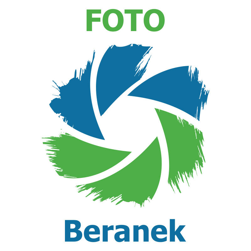 Wolfgang Beranek Logo