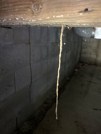 Images Precision Pest Control LLC