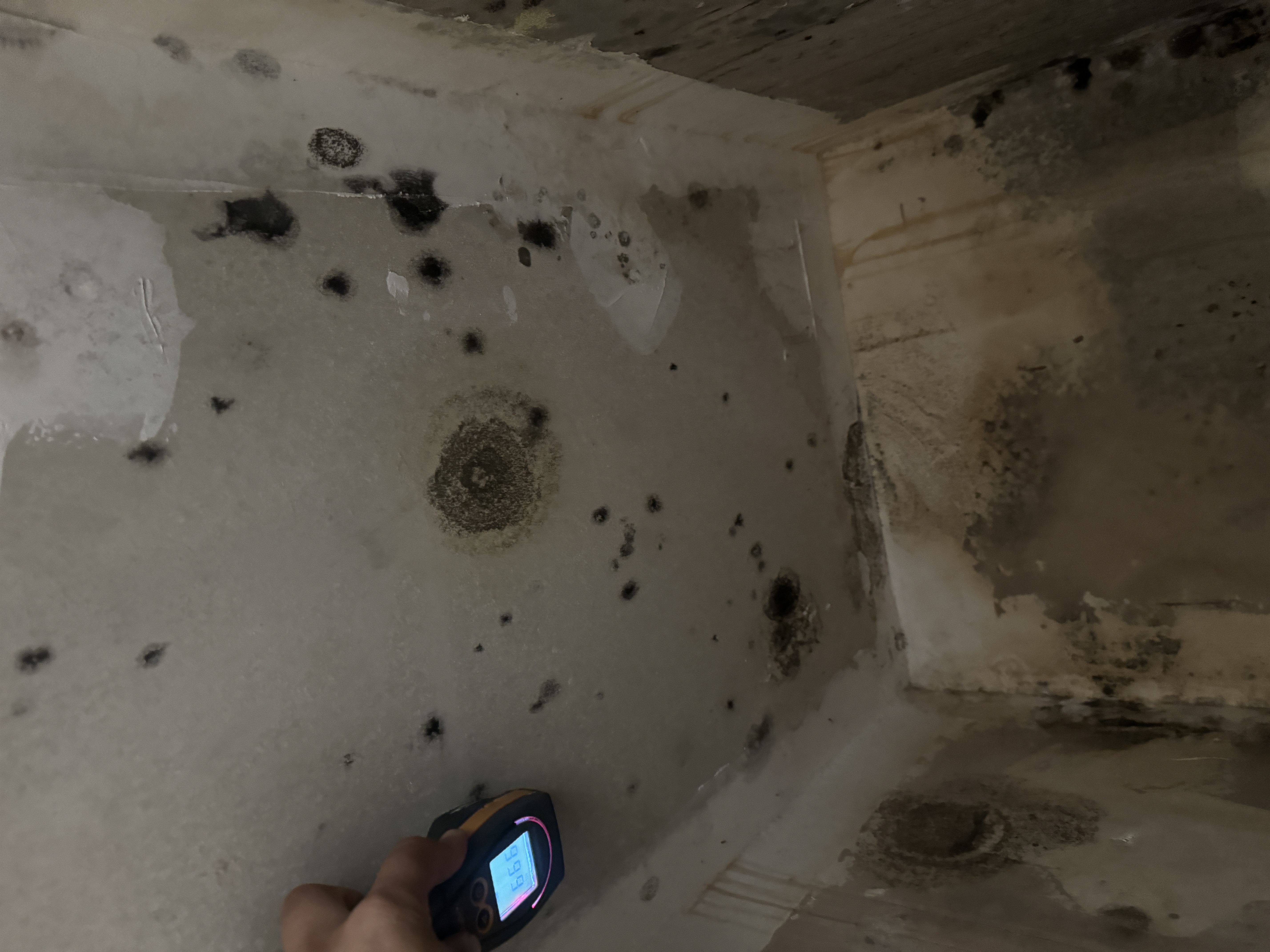 Restore your space with confidence. Our professional mold damage restoration services are available 24/7, ensuring a swift and efficient solution to any mold-related issues. Trust SERVPRO of Anaheim West for expert care.