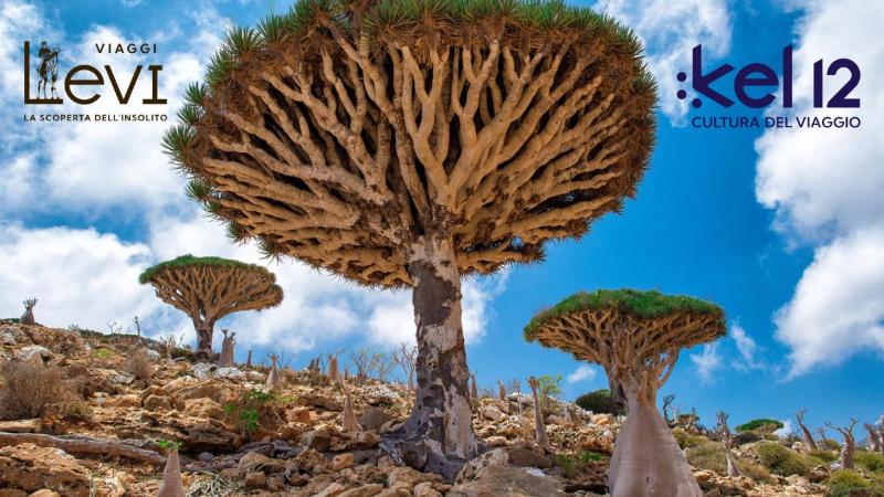 Images Utpull Agenzia Viaggi