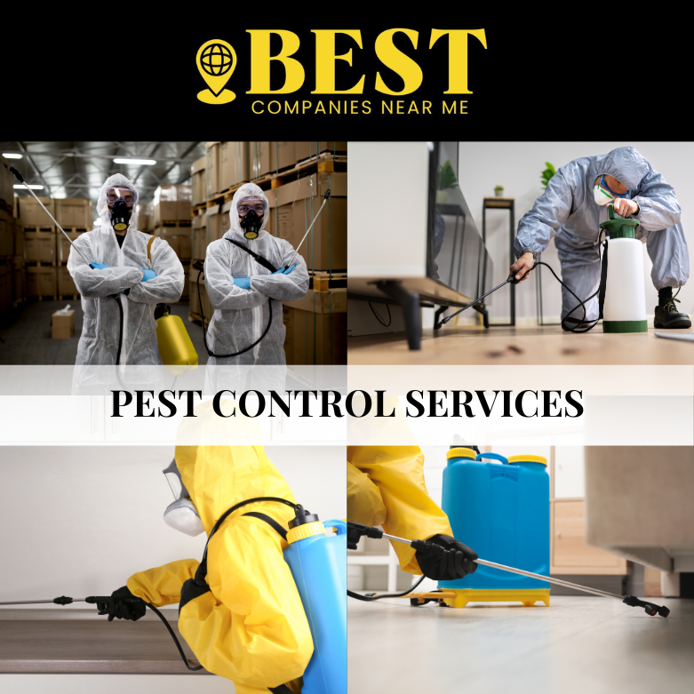 Images Best Companies Near Me