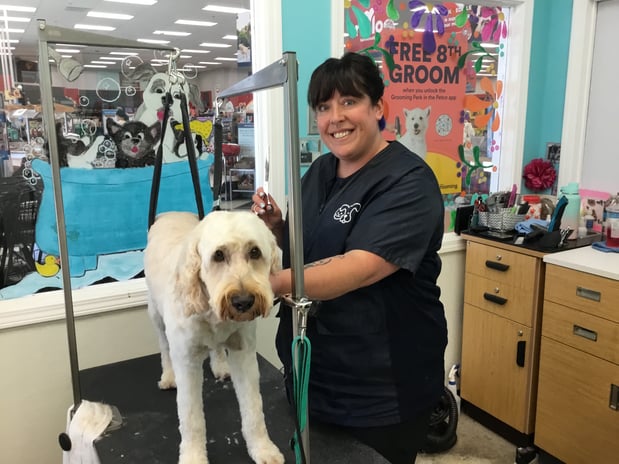 Images Petco Grooming
