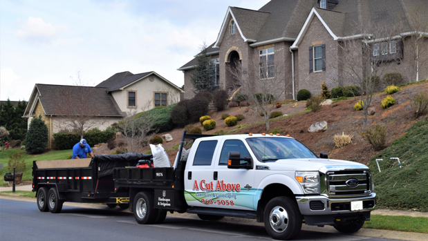 Images A Cut Above Lawncare